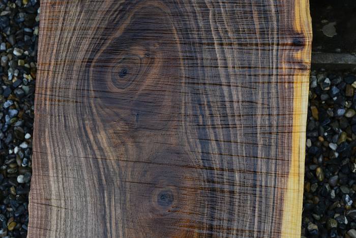 Holzbild vom aufgesägten Stamm.